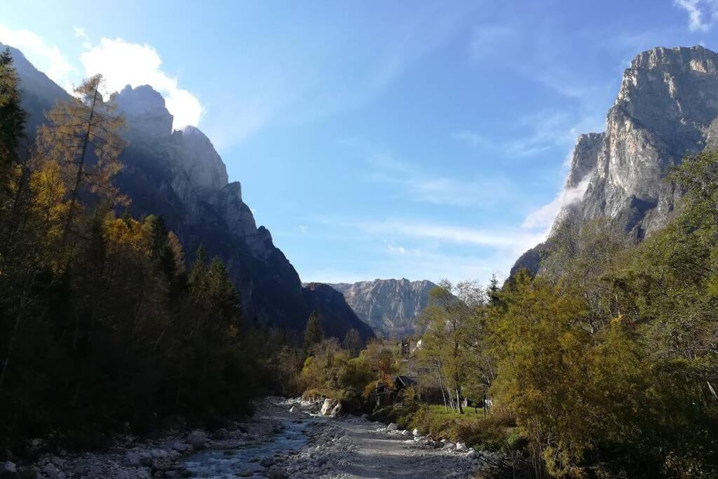 Sweet Dolomites, sauna e jacuzzi Agordo Exterior foto